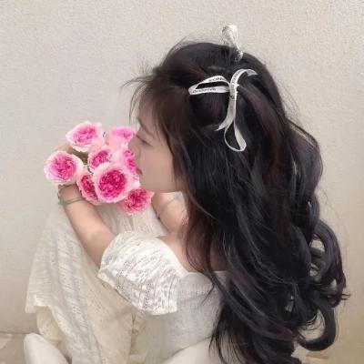 霹雳战士龙
