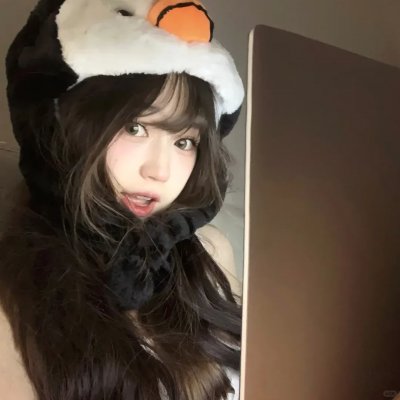 维京人埃里克